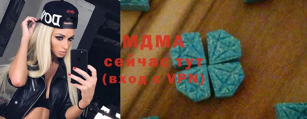 spice Инта
