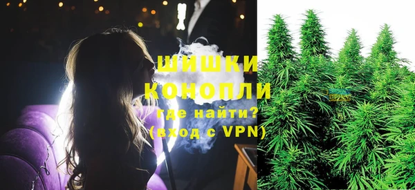 ПСИЛОЦИБИНОВЫЕ ГРИБЫ Инсар