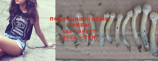 соль ск Зеленодольск