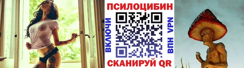 это наркотические препараты Зеленодольск Псилоцибиновые грибы Magic Shrooms