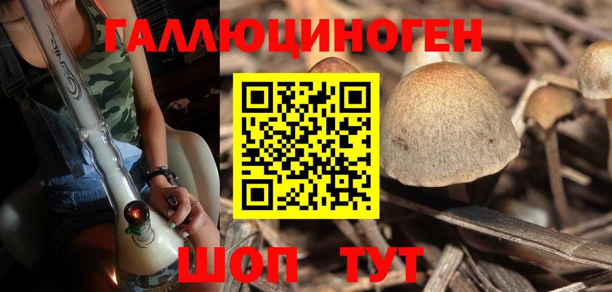 Зеленодольск  Галлюциногенные грибы GOLDEN TEACHER  Вход с VPN  Галлюциногенные грибы прущие грибы 